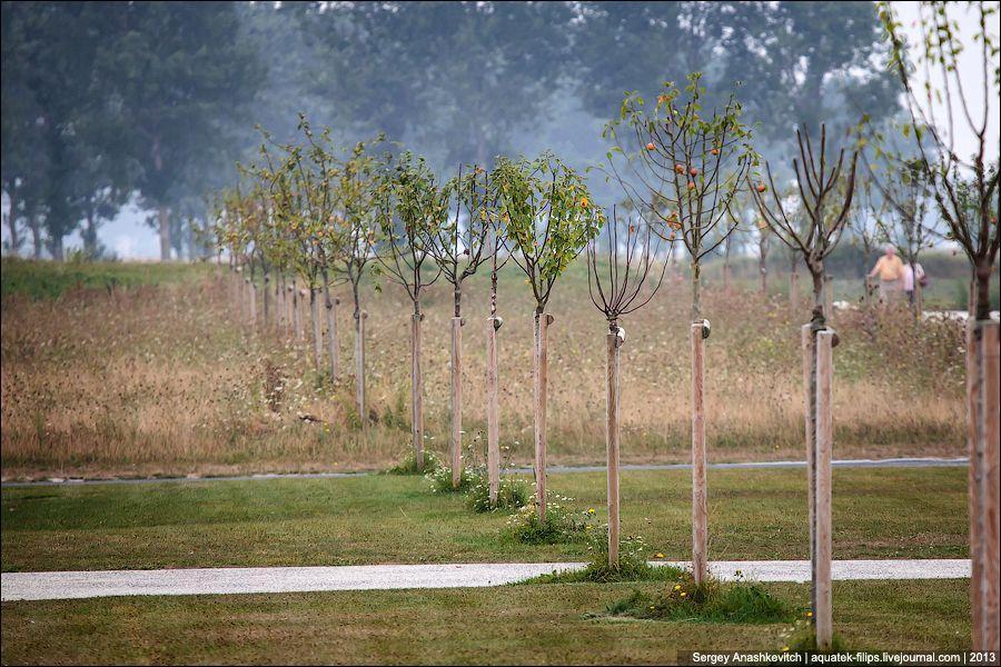 calvados03 Как делают кальвадос в Нормандии